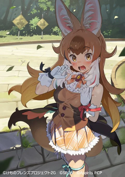 にちじょうのフォト