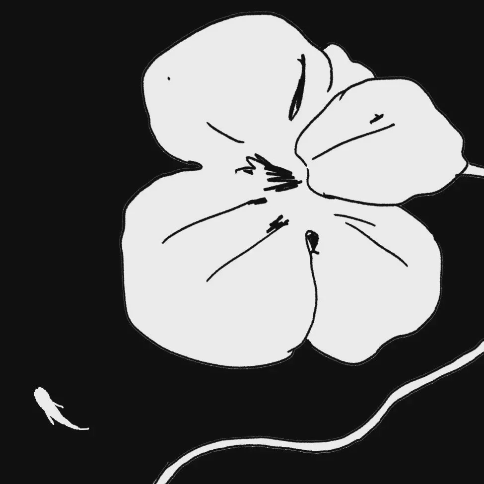 An Almond