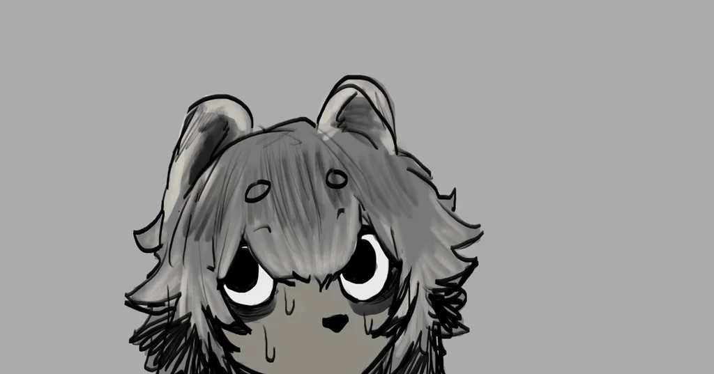 Raccoon