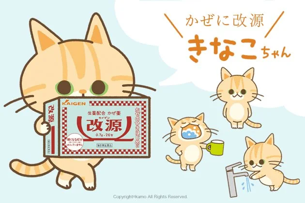 改源「きなこちゃん」イラスト