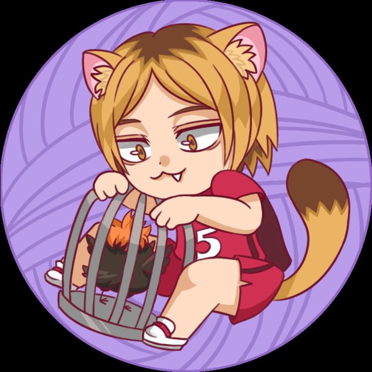 Kitty Kenma playing [Haikyuu!!]