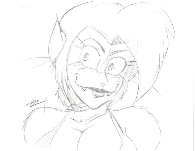 sketch featuring nylon