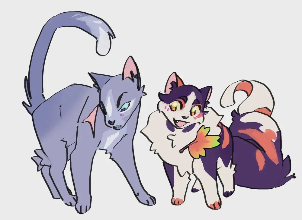 Gatos