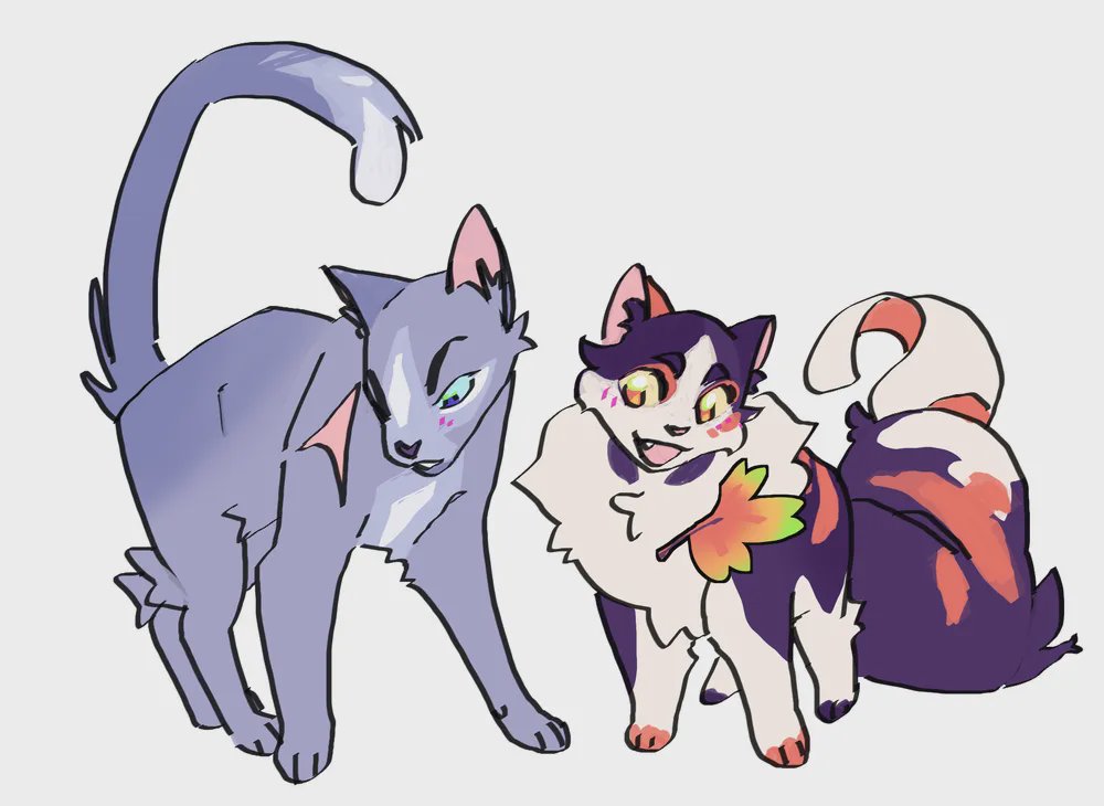 Gatos